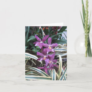 Orchid Cluster Note Card