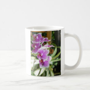 orchid coffee mug flowers