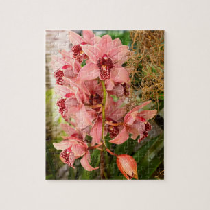 Orchid - Cymbidium - Vivien hainsworth x trinket Jigsaw Puzzle