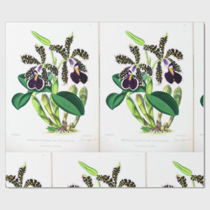 "Orchid-Dark-purple-black" Wrapping Paper