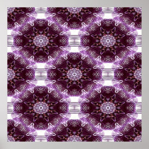 Orchid Delights...... Poster