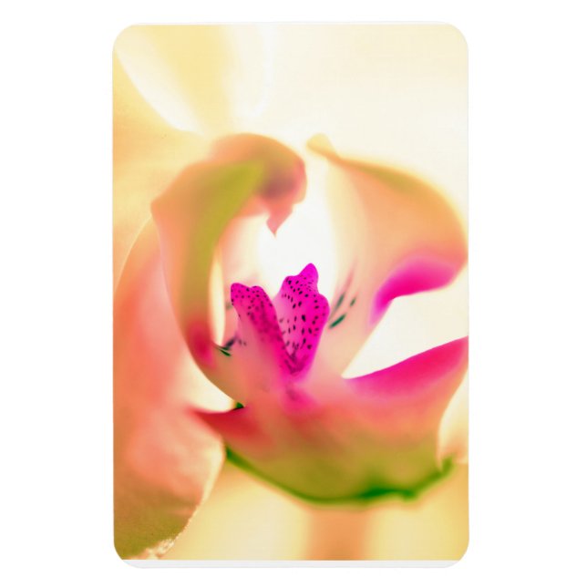 Orchid Design Flexible Photo Magnet (Vertical)