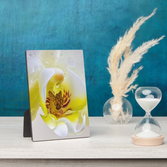 Orchid Dew Plaque (Side)