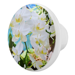 Orchid Drawer Knob