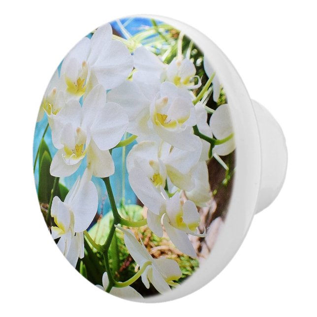 Orchid Drawer Knob (Right)
