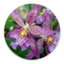 Orchid Drawer Pull