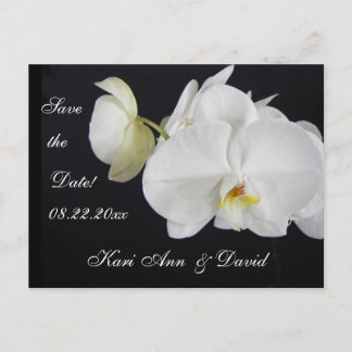 Orchid Dream Announcement Postcard