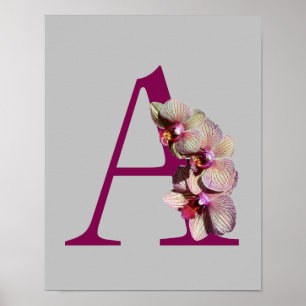Orchid Elegant Monogram Initial A  Poster