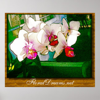 Orchid Explosion Poster