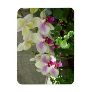 Orchid Flexible Photo Magnet