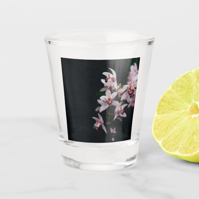 Orchid Flower Black background Shot Glass (Front)