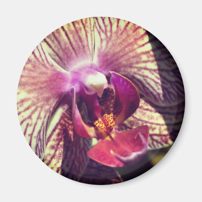 Orchid Flower Close Up Photography Magnet (Front)