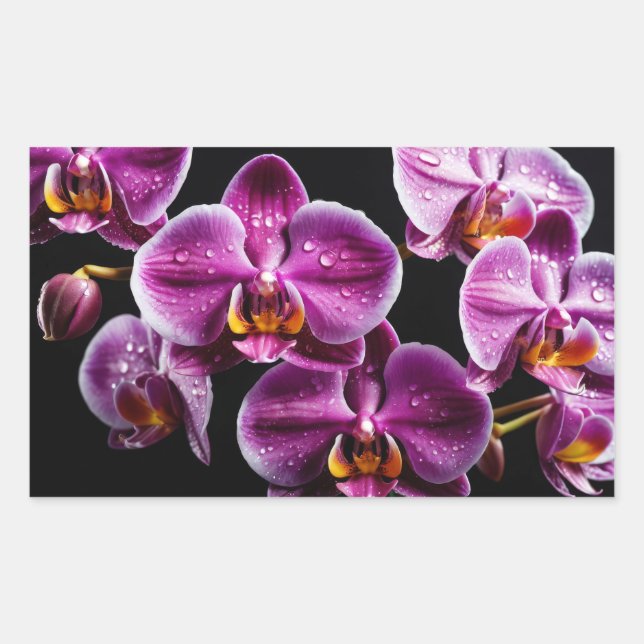 Orchid Flower Colourful Blossom Decoration Blossom Rectangular Sticker (Front)