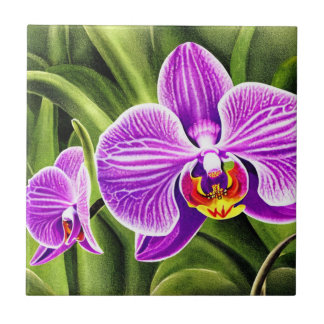 Orchid Flower Decorative Floral Ceramic Tiles