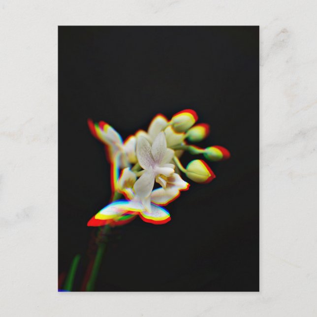 Orchid Flower Glow Effect Postcard (Front)