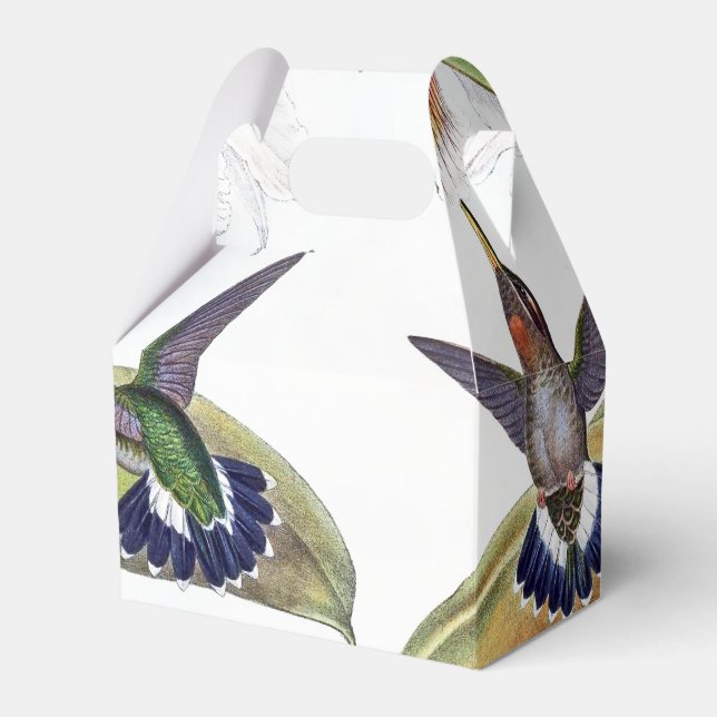 Orchid Flower Hummingbird Birds Wildlife Favour Bo Favour Box (Front Side)