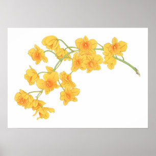 Orchid flower, Japanese ukiyo e art Poster