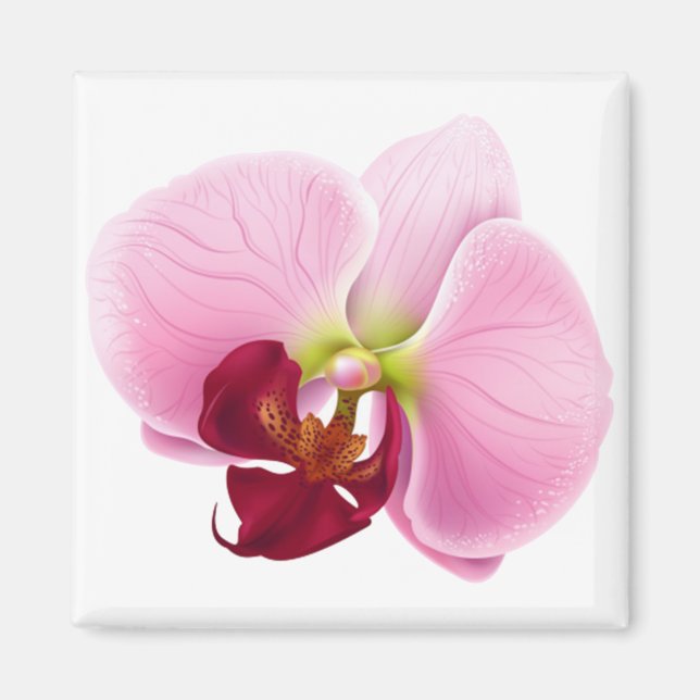 orchid flower magnet (Front)