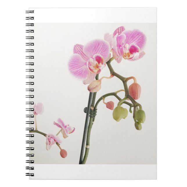 Orchid Flower Notebook (Front)