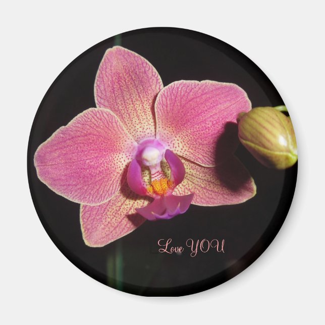Orchid Flower of LOVE  Autism Magnet (Front)