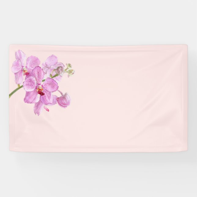 Orchid flower on pink pastel background banner (Horizontal)