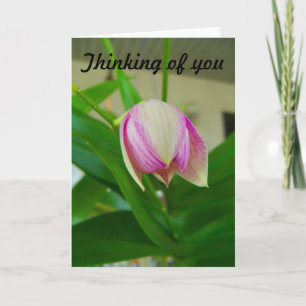Orchid flower Opening Thinking of You card