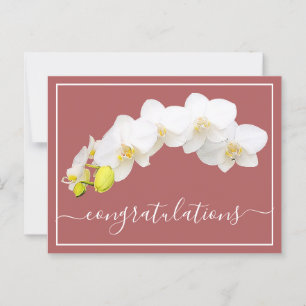 Orchid Flower Salmon Background Congratulations Postcard