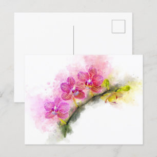 Orchid flower watercolor - pink wb 01 postcard