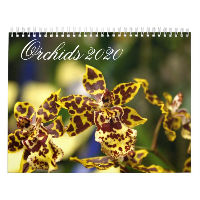 Orchid Flowers 2020 Calendar (Cover)