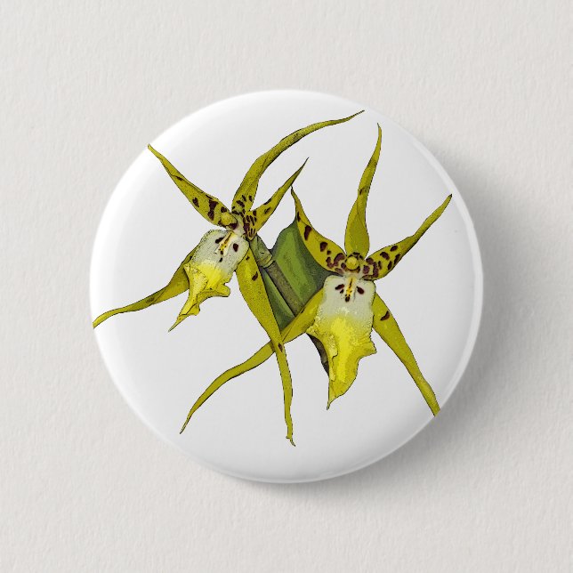 Orchid Flowers 6 Cm Round Badge (Front)