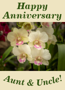 Orchid Anniversary Gifts Gift Ideas Zazzle Uk