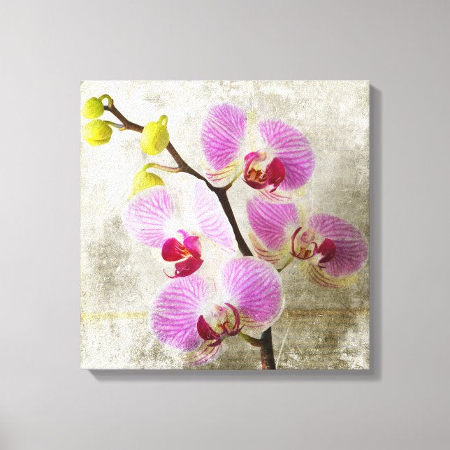 Orchid Flowers Canvas Print (Front)