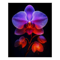 Orchid flowers in the beam