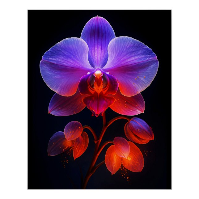 Orchid flowers in the beam poster (Front)