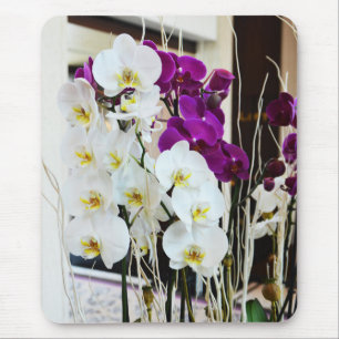 Orchid flowers mouse mat