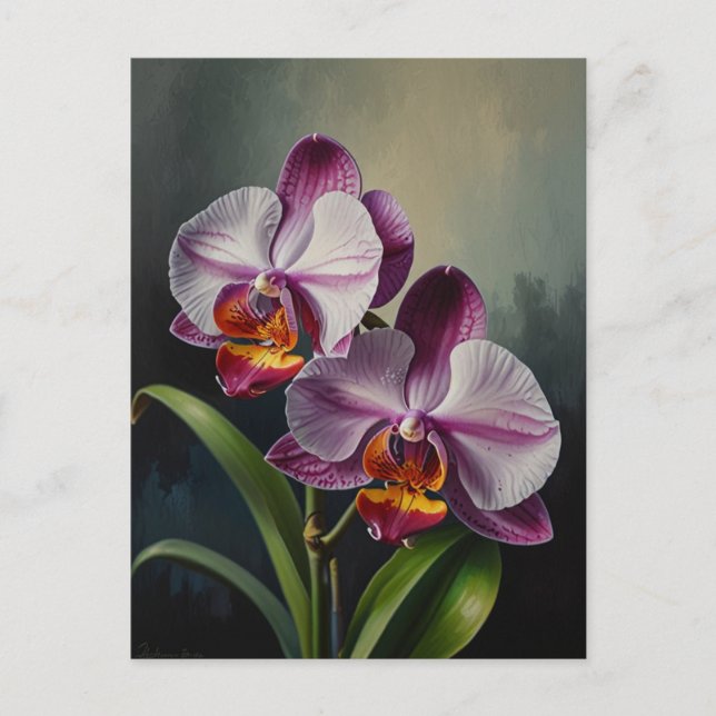 Orchid flowers Oil Painting Postcard (Front)