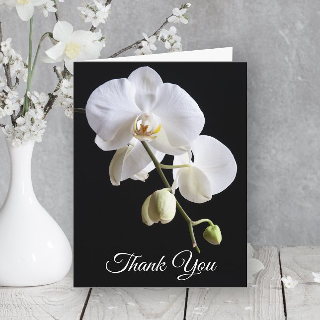 Orchid Flowers on Black Sympathy Thank You Card (Creator Uploaded)
