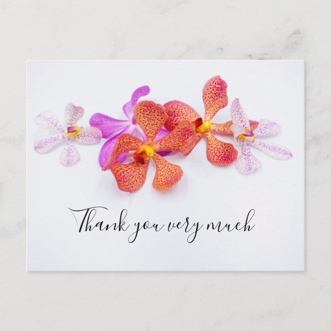 Orchid flowers on white background Thank You Card (Front)