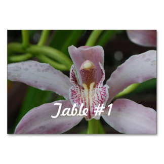 Orchid Flowers Table Number