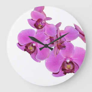Orchid Flowers Wall Clock