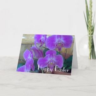 Orchid for Easter Holiday Card