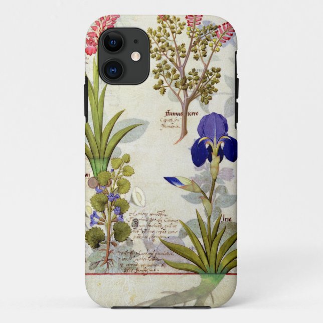 Orchid & Fumitory or Bleeding Heart Hedera & Iris Case-Mate iPhone Case (Back)