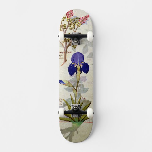 Orchid & Fumitory or Bleeding Heart Hedera & Iris Skateboard (Front)