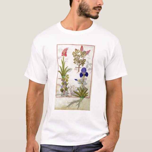 Orchid & Fumitory or Bleeding Heart Hedera & Iris T-Shirt (Front)