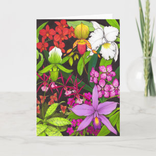 Orchid Garden Flowers Greeting Card