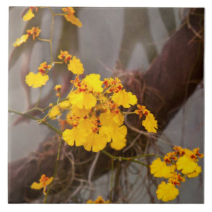 Orchid - Golden morning Tile