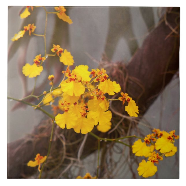 Orchid - Golden morning Tile (Front)