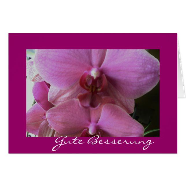 orchid-good improvement (Front Horizontal)