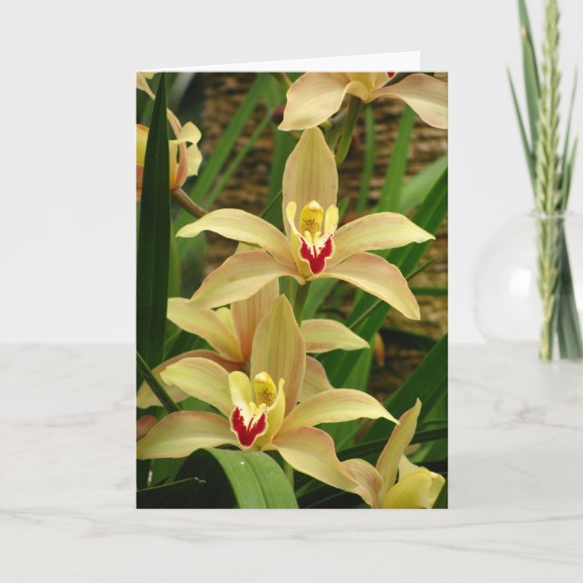 Orchid Greetings Card (Front)