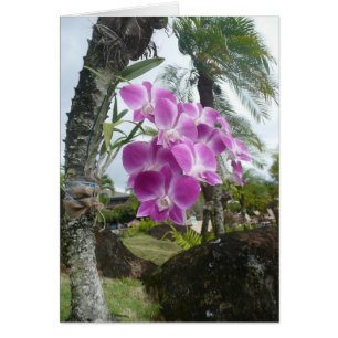 Orchid haning from tree - Blank Card